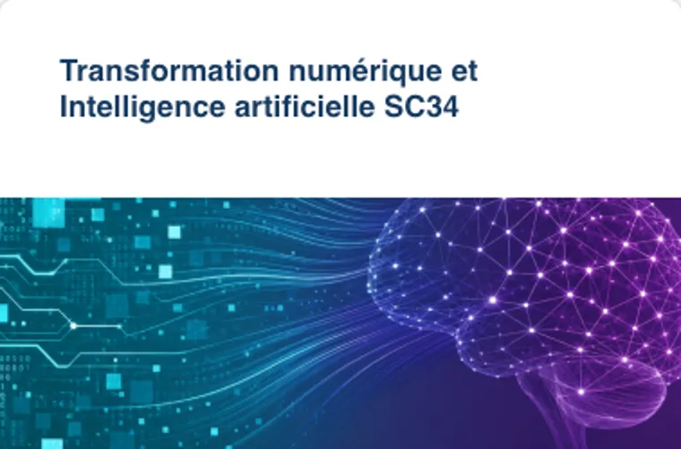 Aperçu de Formation en ligne Transformation numérique & IA